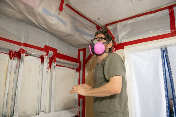 Archer City, TX Mold Removal Company